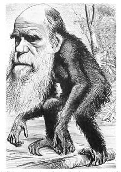 Такие карикатуры рисовали современники Дарвина